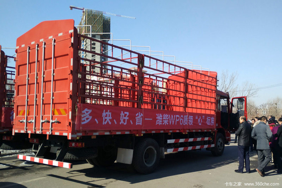 Shacman Camioneri 21-30t Capacità di carico Fence Cargo Truck con servizio post-vendita