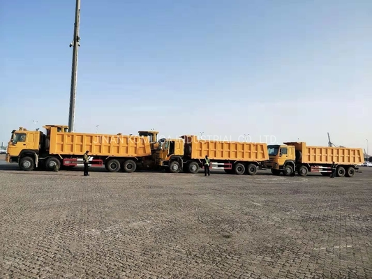 Cnhtc HOWO Sinotruk 8X4 Dump Truck/Tipper Truck/Heavy Duty Truck con cisterna da 300L