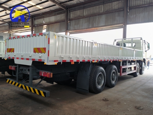 Disegno pneumatico senza tubi Sinotruk HOWO 8X4 camion pesante con trasmissione Wly6t46