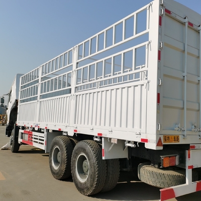 Sinotruk HOWO Cargo Truck con certificazione ECE per pneumatici e trasmissione Wly6t46