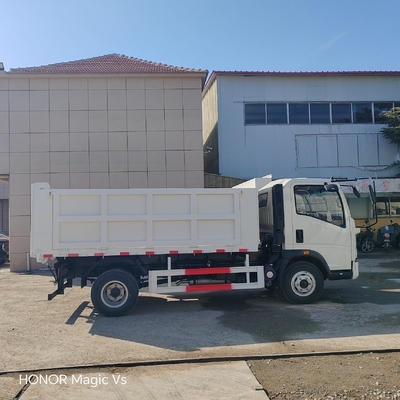 4X2 Light Cargo/Dump Truck per l'Africa LHD/RHD Stile di guida Certificazione ECE pneumatici