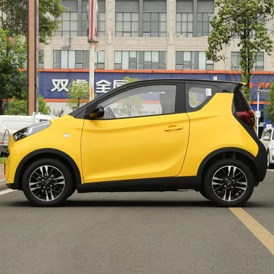 BEV Little Ant Auto elettrica a 4 ruote e servizio post-vendita